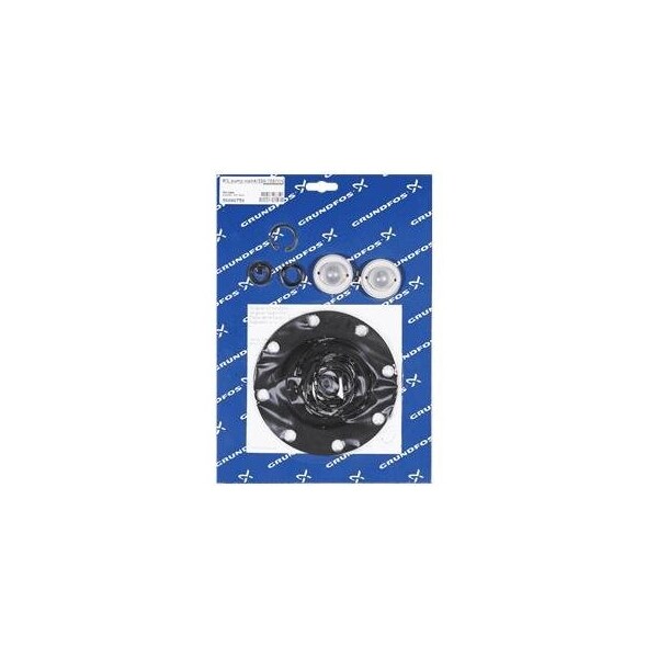 Pump Repair Parts- Kit, pump maint/226-720/V/G, Dosing Pumps.